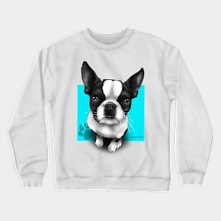 Baby Boy Boston Crewneck Sweatshirt